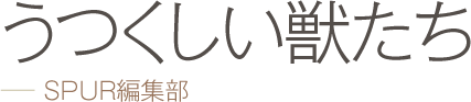うつくしい獣たち −− SPUR編集部